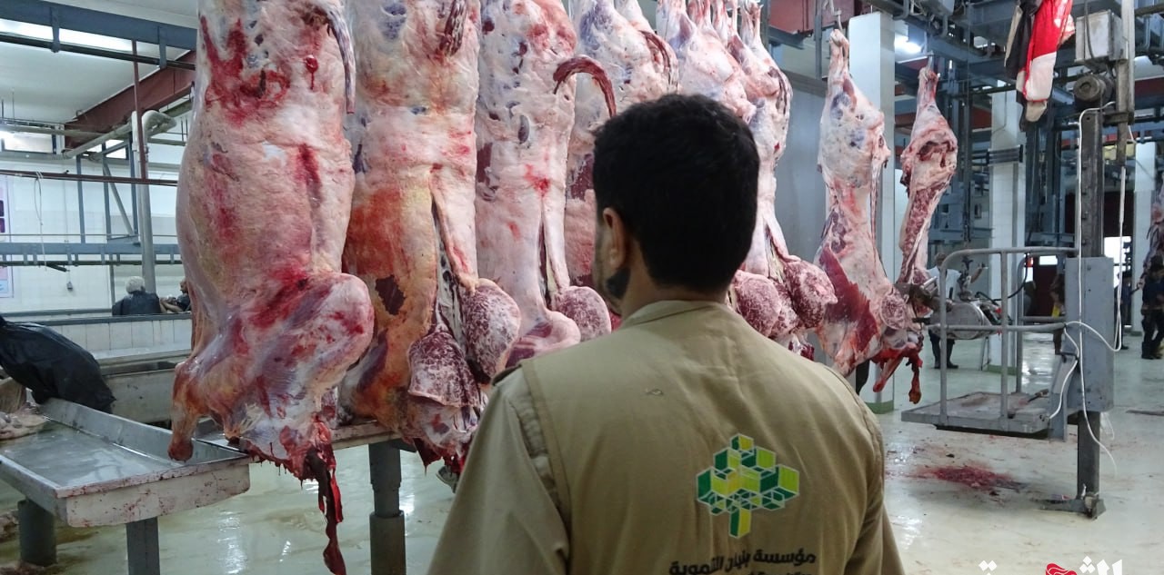 بنيان تعلن استكمال ترتيبات إطلاق مشروع اللحوم والأضاحي العيدية للعام 1445هـ
