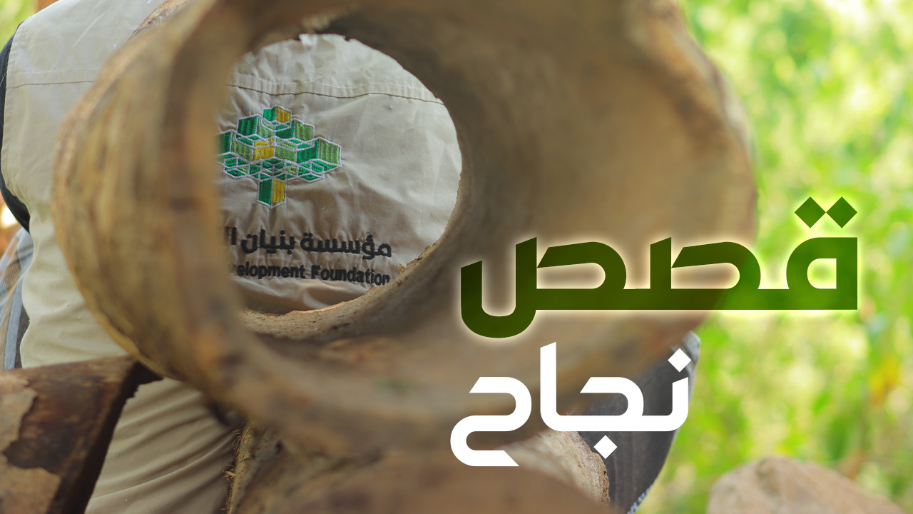 قصص النجاح