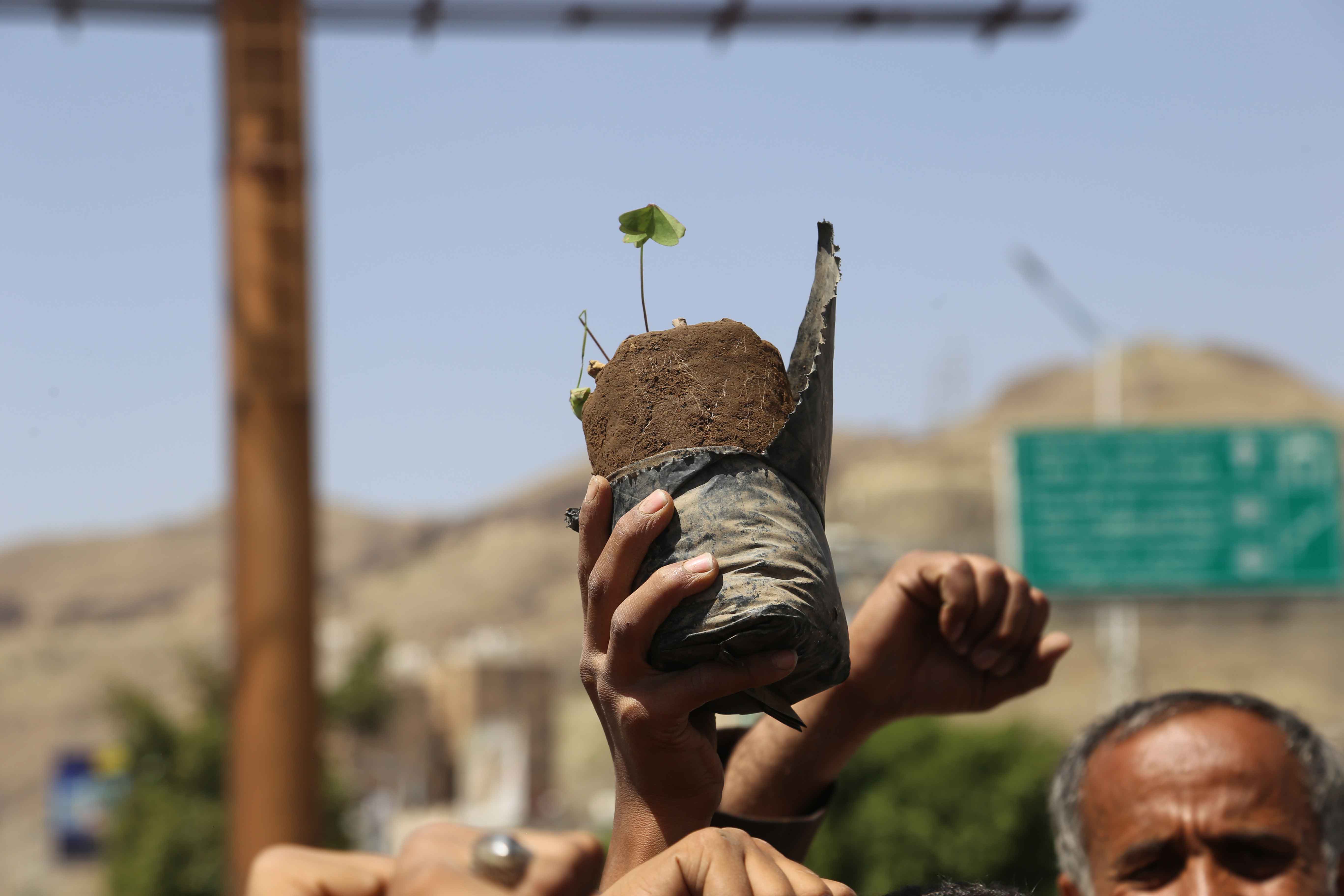 مشروع زيادة مساحة الغطاء النباتي، والمحميات وحمايتها