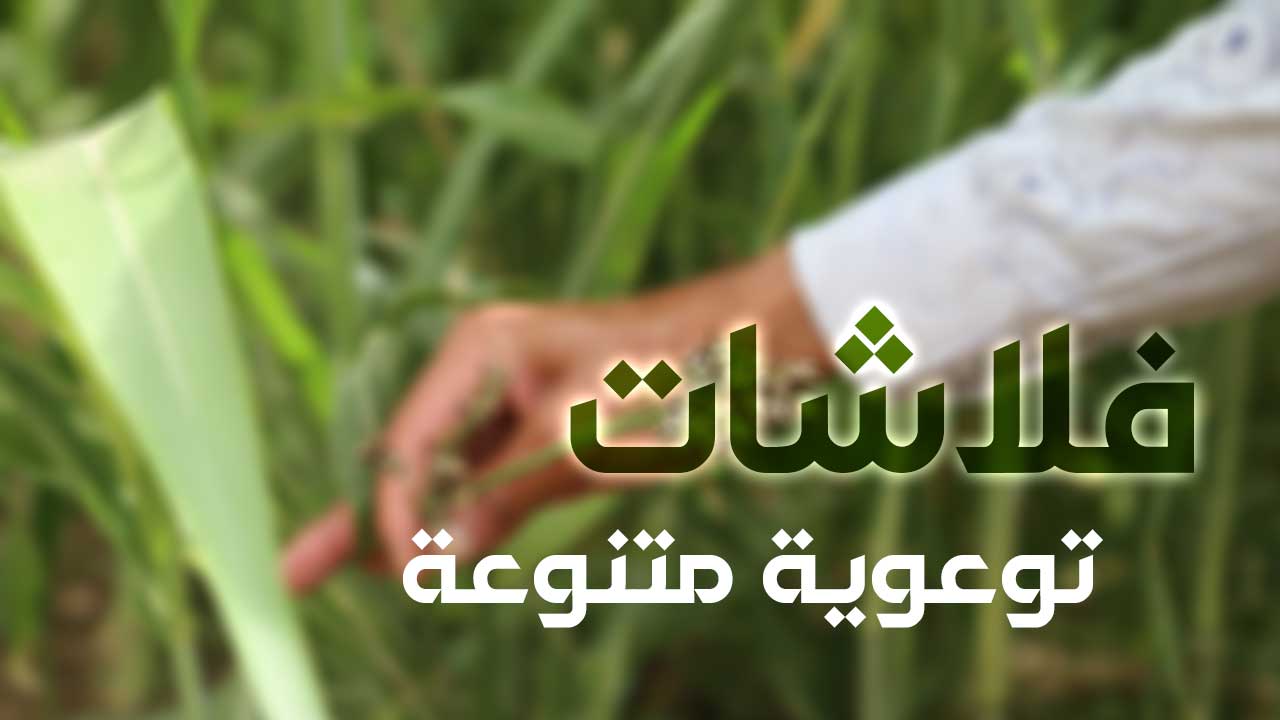 فلاشات ارشادية وتوعوية متنوعة